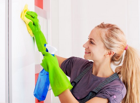Professional carpet cleaning in a Hampstead home
