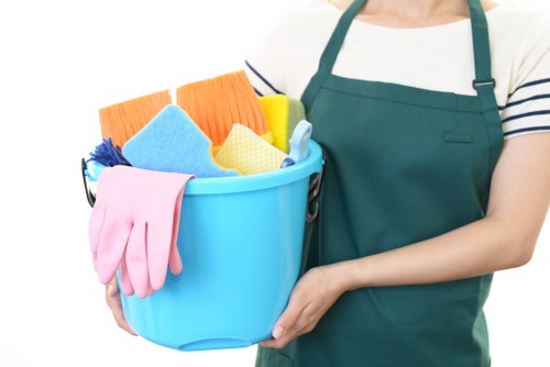 Domestic cleaners for a home clean in Hampstead