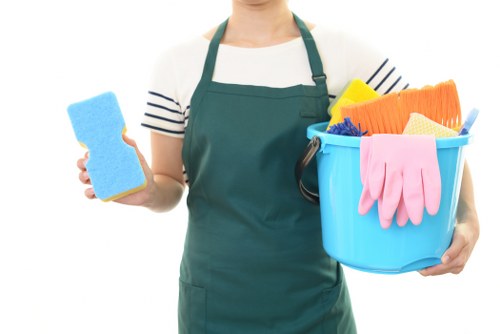 Professional carpets cleaner in Hampstead treating a residential carpet