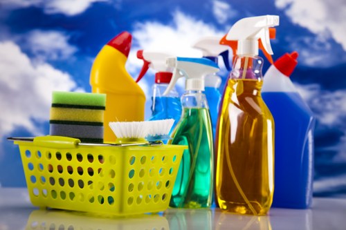 Professional cleaners working in a Hampstead home