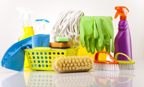 Deep cleaning support in a Hampstead property