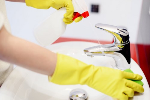 Professional cleaning company in Hampstead servicing a stylish home