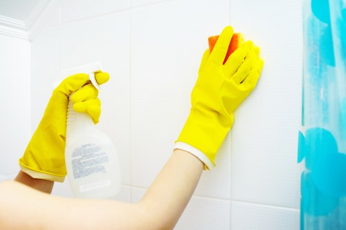 Local cleaners providing careful cleaning in Hampstead