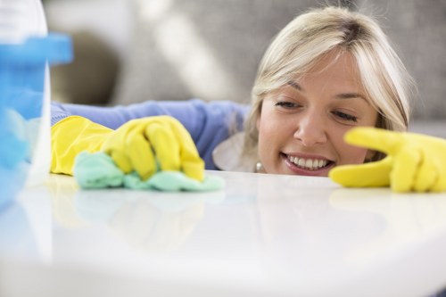 Kitchen deep cleaning during a Hampstead tenancy handover