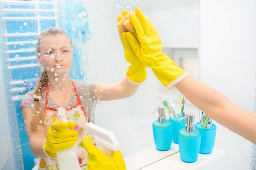 Cleaners Hampstead team working safely with protective equipment