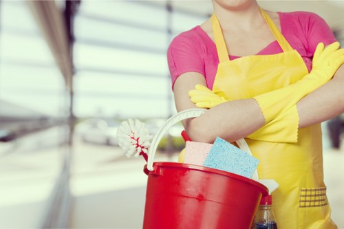 Steam cleaning equipment for Hampstead carpets
