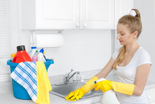 Kitchen cleaning service in a Hampstead home