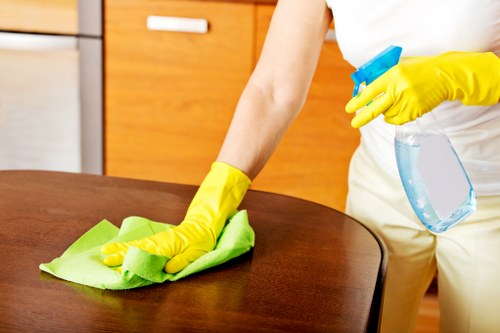 Domestic cleaning service in Hampstead for a bright and tidy living room